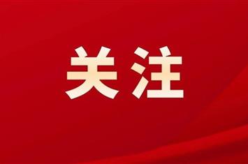投资白家乐庄闲